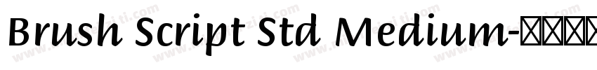 Brush Script Std Medium字体转换
